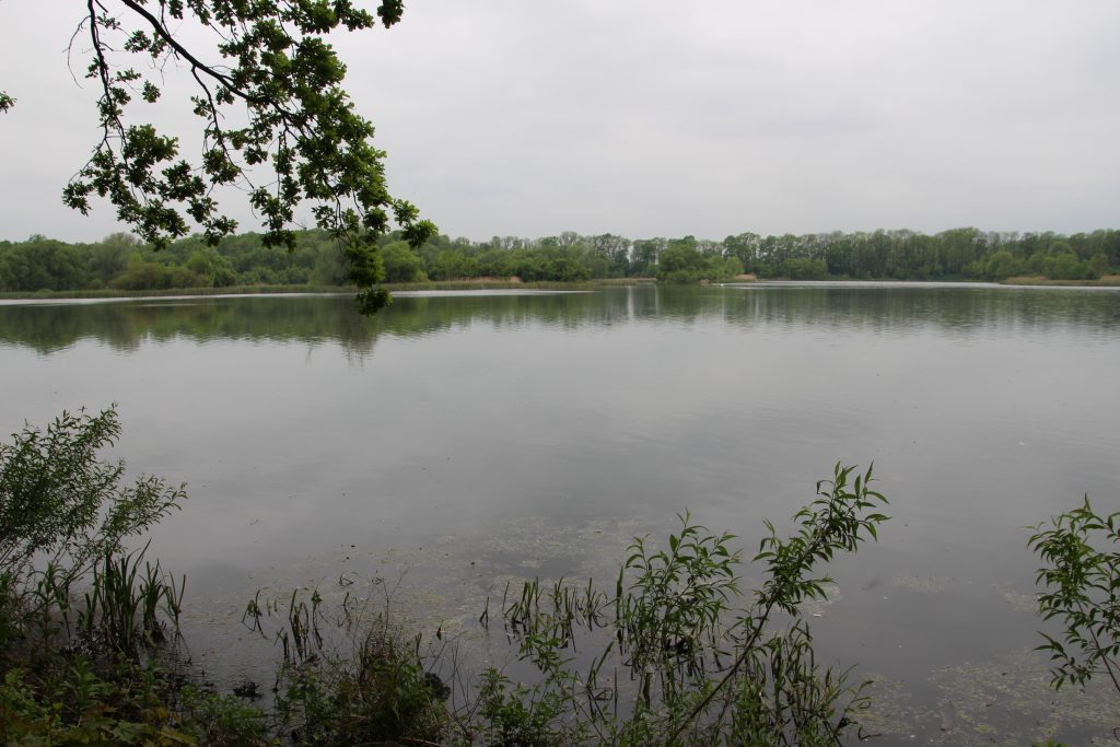 Bartošoviské rybníky
