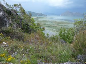 Skadarské jezero Černá Hora