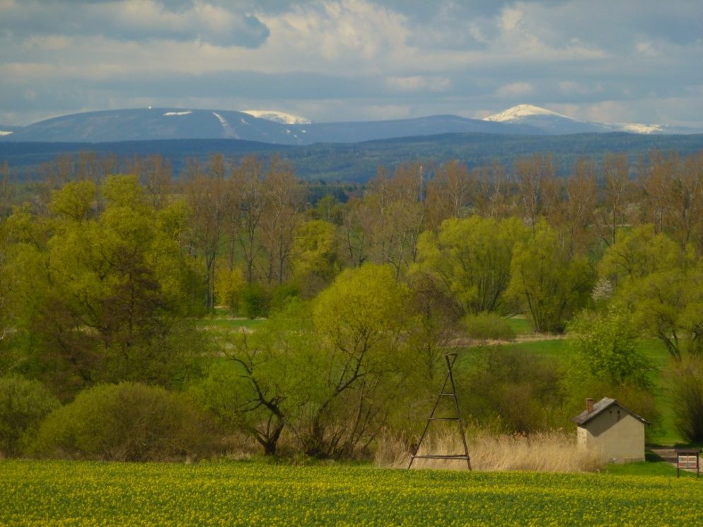 Panorama Krkonoš. Foto: Břeněk Michálek