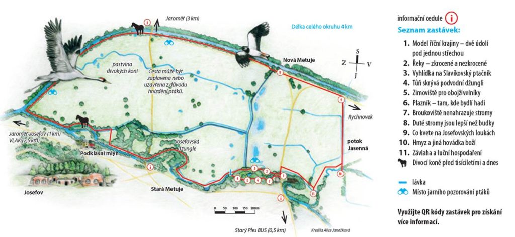 kreslená mapa JL Alice Janečková