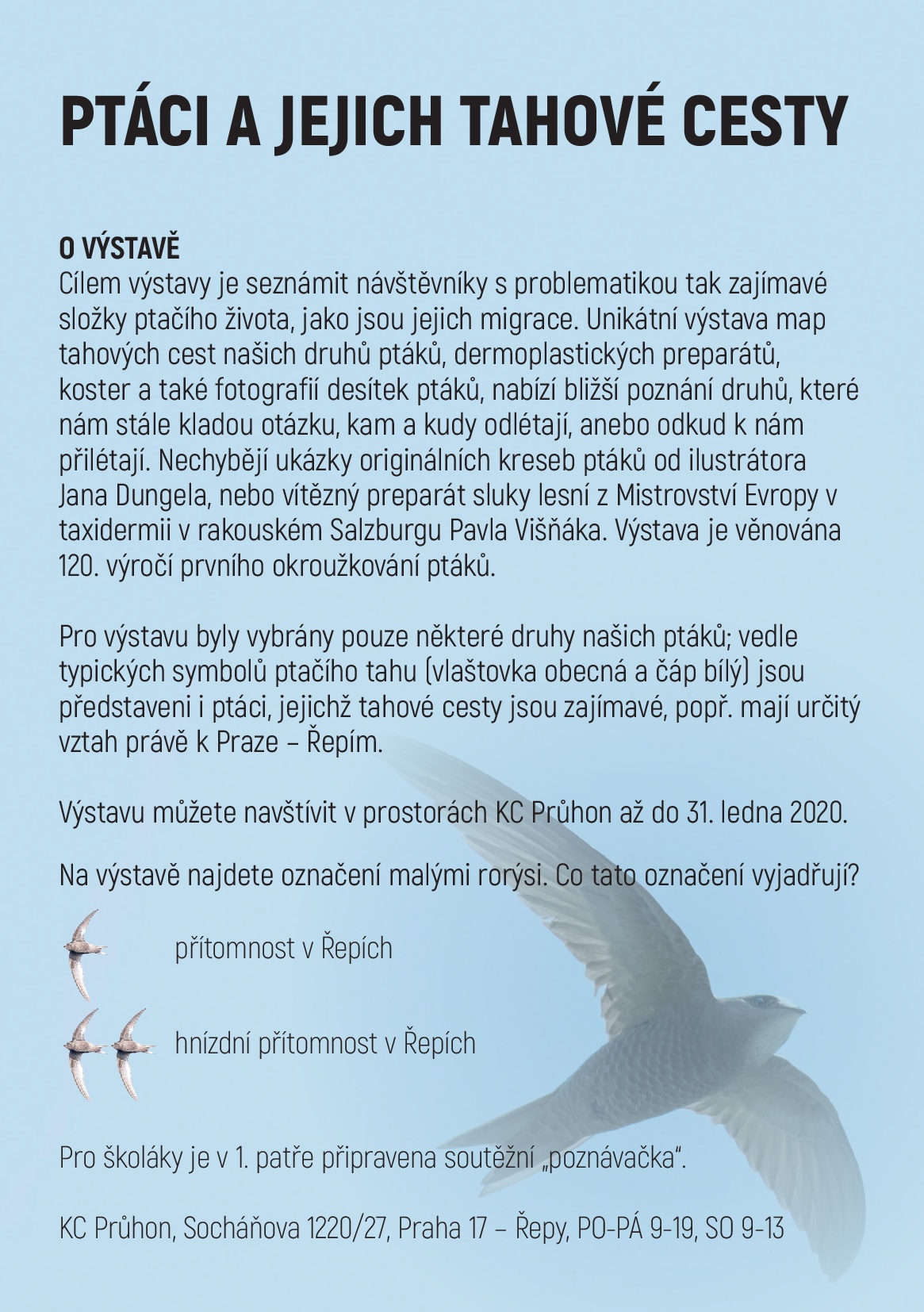 Obrázek