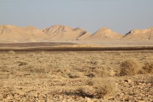 poušť v Izraeli