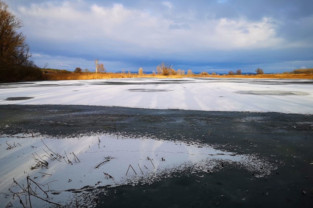 Polní mokřad, Kosteliska. Foto: Ondřej Ryška