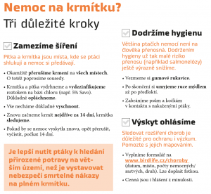 Ptačí choroby - co dělat při výskytu nemoci na krmítku