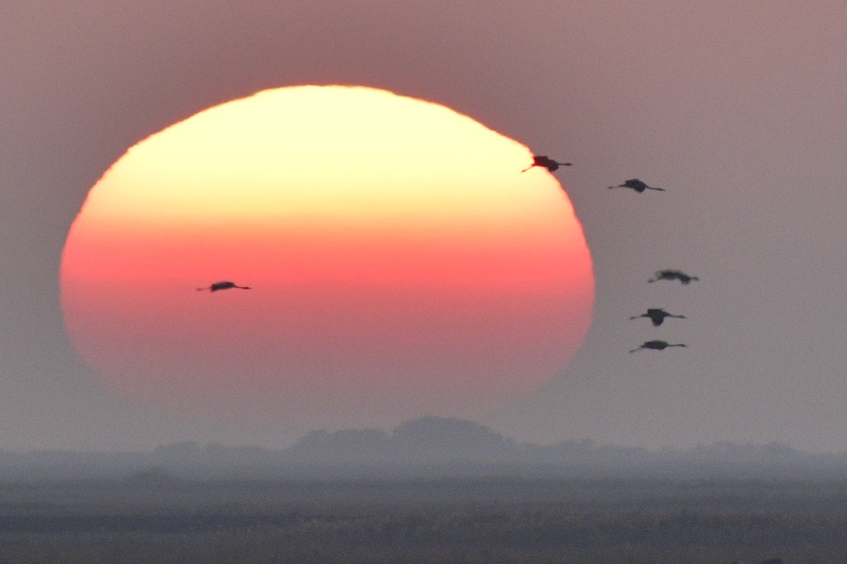 zapad slunce orizly Foto Tomas Grim