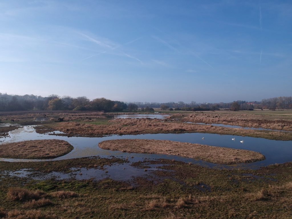 Hotový Centrální ptačník na JL na jaře 2023.