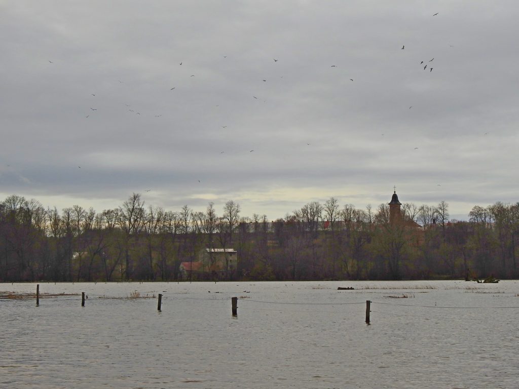JL při povodni v prosinci 2023. Foto: B. Michálek