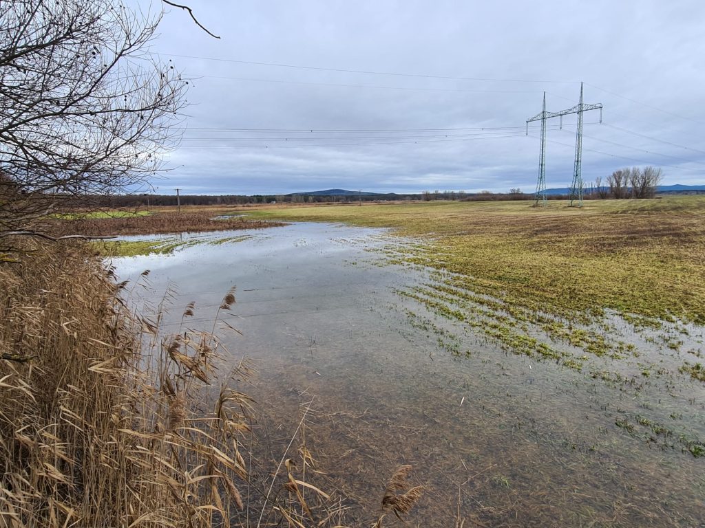 Zvodnělé pole na Kosteliskách.